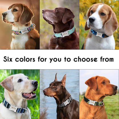 Personalized Dog Collar with Name & ID Number – Adjustable Floral Pet Collar