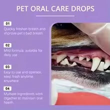 Pet Oral Care Spray – Dental Care for Dogs & Cats