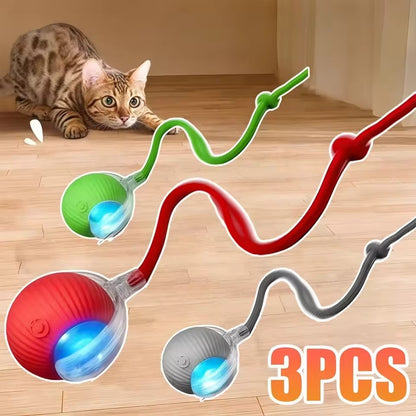 3PCS Interactive Cat Ball Toy with Flexible Wand – Motion & Exercise Toy for Cats